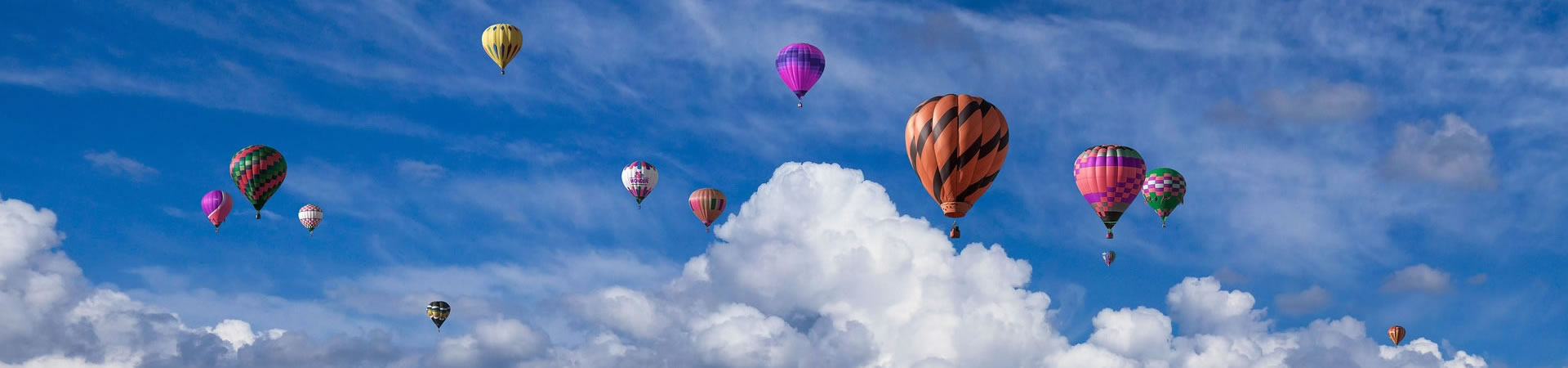 环亚娱乐平台全猋网介绍